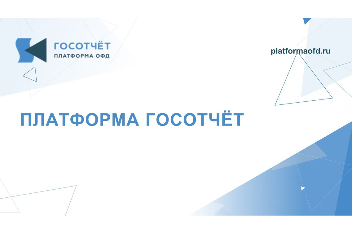 Платформа Госотчёт от 500 р